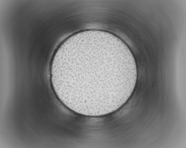 X0000111390848200907311112