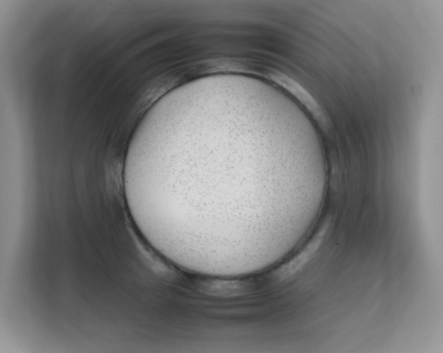 X0000111390849200907311112