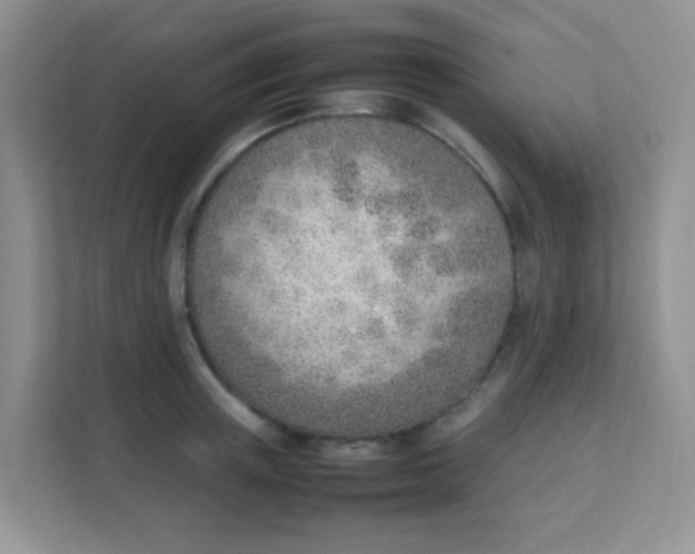 X0000111390851200907311112