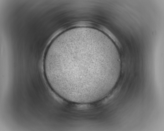 X0000111390853200907311112