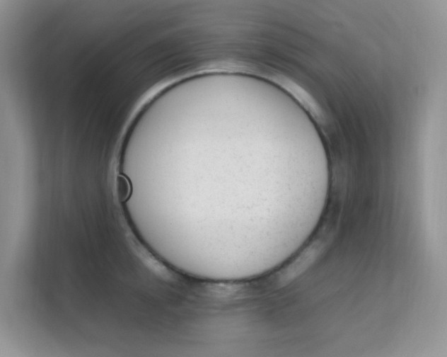 X0000111390854200907311112