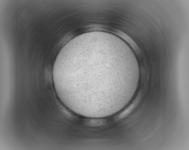 X0000111390857200907311112