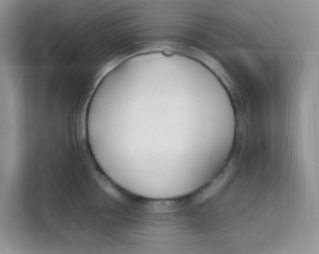 X0000111390858200907311112