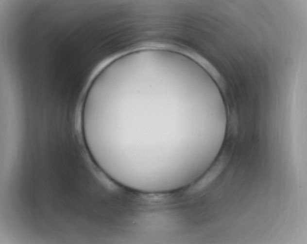 X0000111390862200907311112