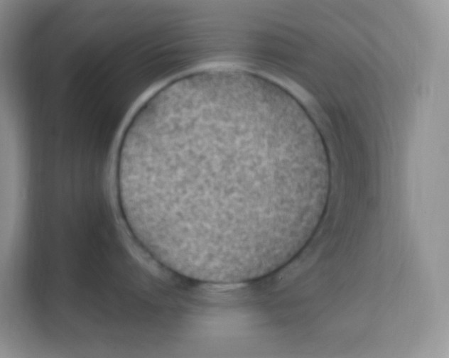 X0000111390864200907311112