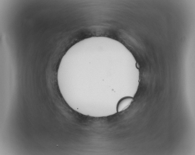 X0000111390865200907311112