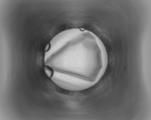 X0000111390866200907311112