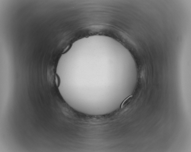 X0000111390868200907311112