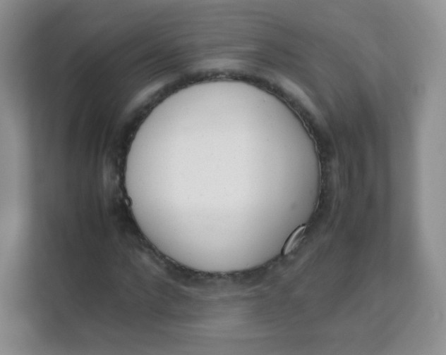 X0000111390872200907311112