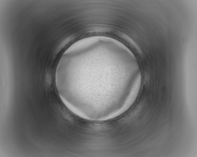 X0000111390874200907311112