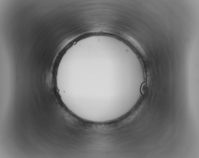 X0000111390876200907311112