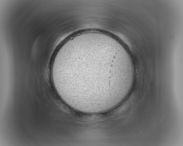 X0000111390879200907311112