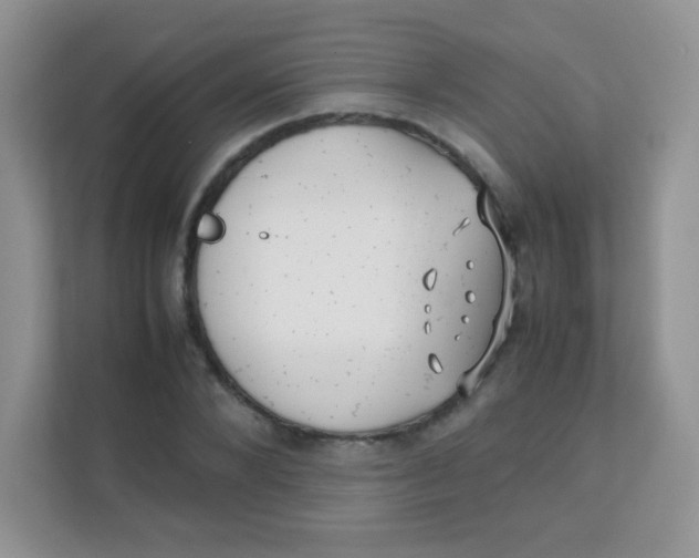 X0000111390880200907311112