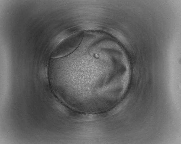 X0000111390881200907311112