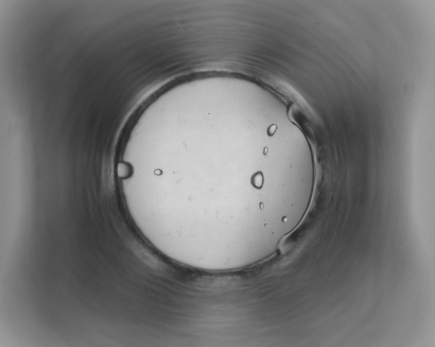 X0000111390884200907311111