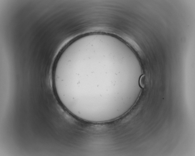 X0000111390888200907311111