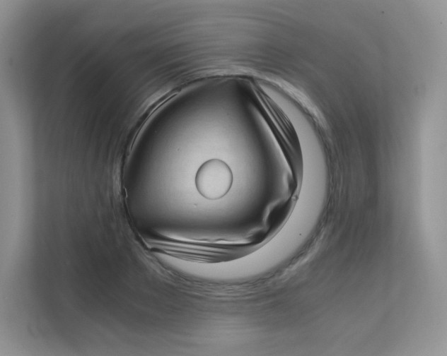 X0000111390889200907311111