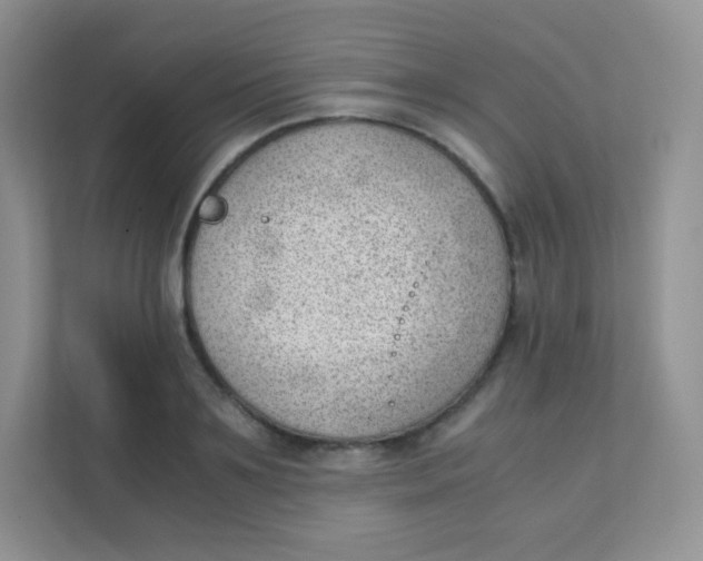 X0000111390891200907311111