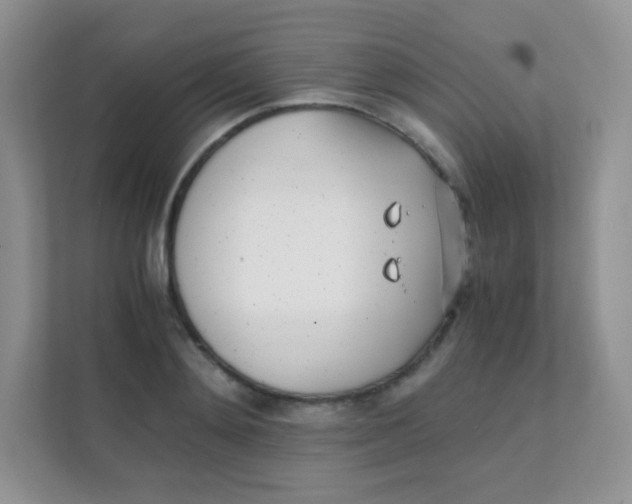 X0000111390892200907311111