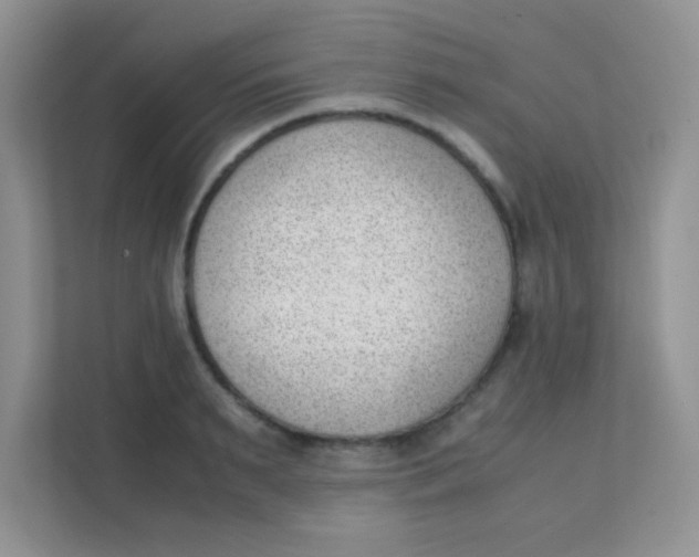 X0000111390895200907311111