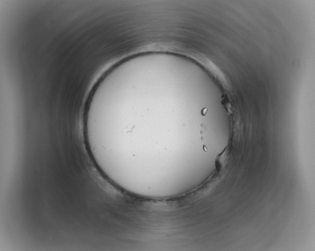 X0000111390896200907311111