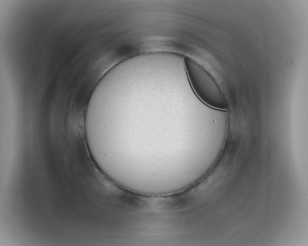 X0000111390897200907311111