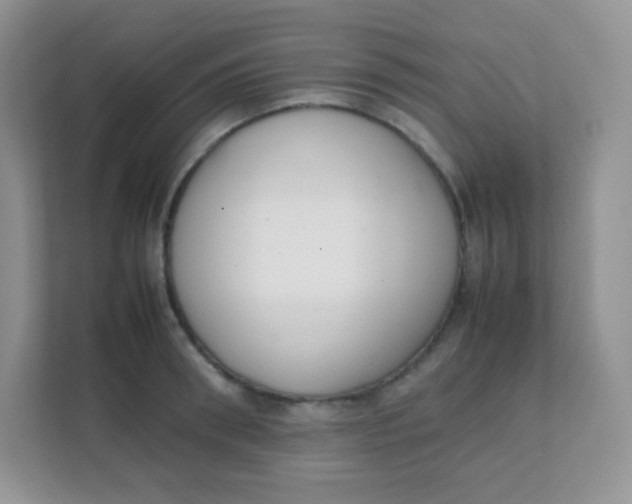 X0000111390898200907311111