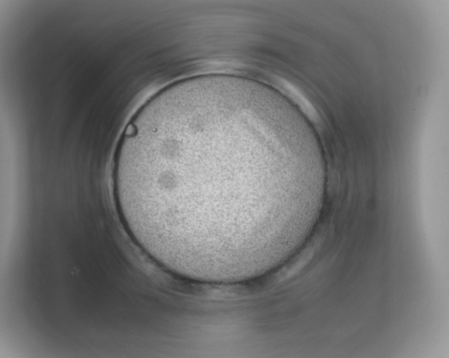 X0000111390899200907311111