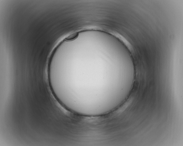 X0000111390902200907311111