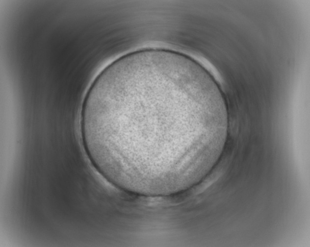 X0000111390903200907311111