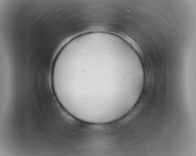 X0000111390904200907311111