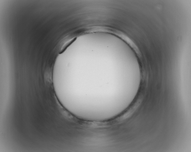 X0000111390905200907311111