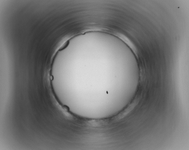 X0000111390906200907311111