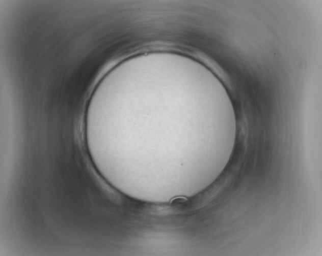 X0000111390911200907311111