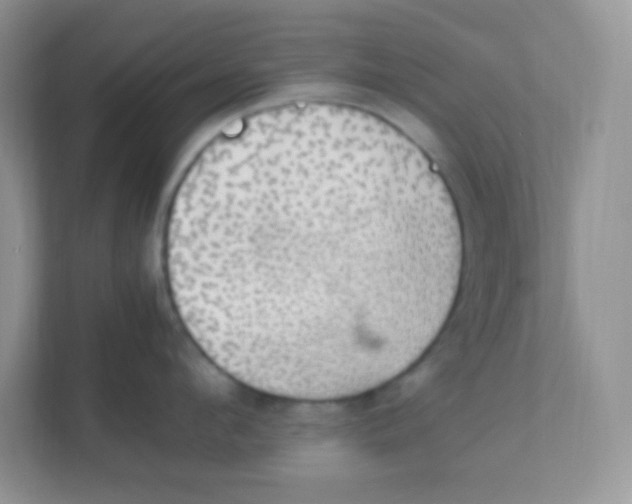 X0000111390912200907311111