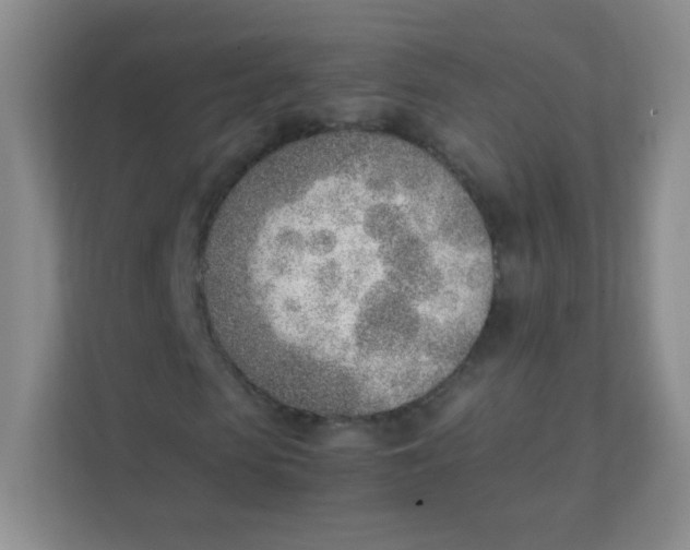 X0000111390913200907311110