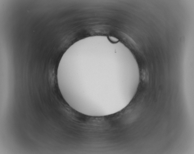 X0000111390915200907311111