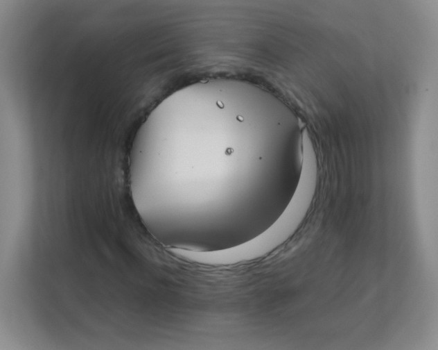 X0000111390916200907311111