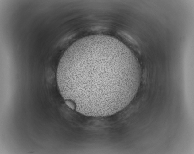 X0000111390917200907311111