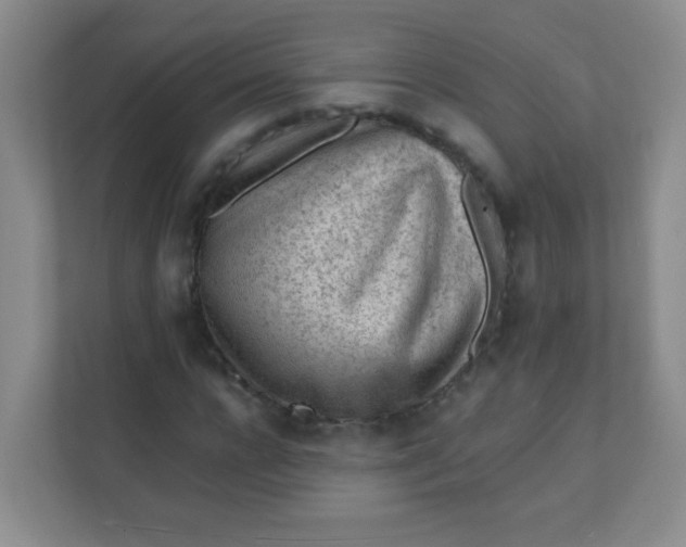 X0000111390920200907311111