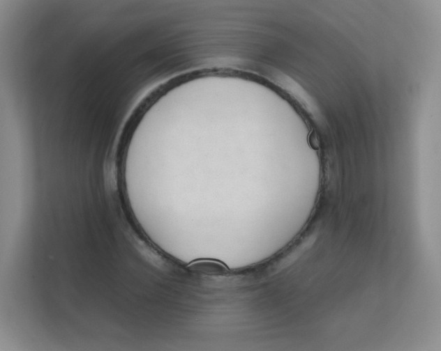 X0000111390924200907311111