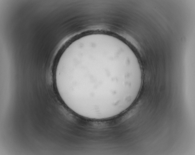 X0000111390927200907311111