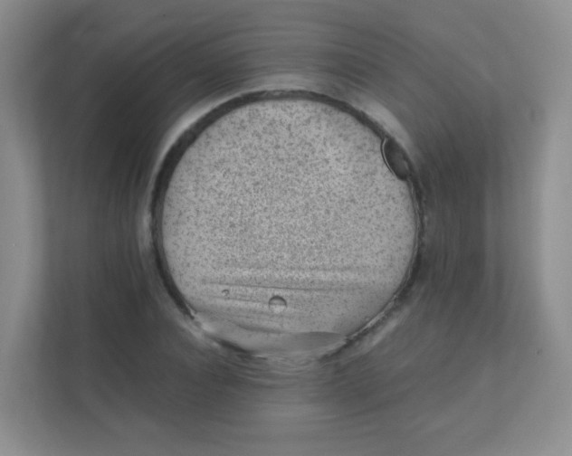 X0000111390928200907311111