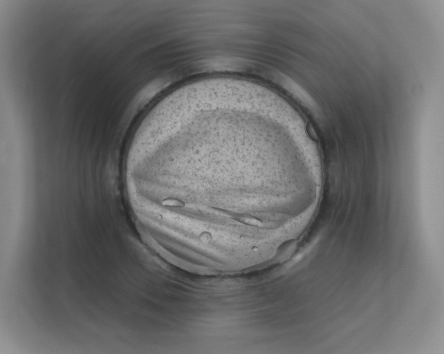 X0000111390930200907311111