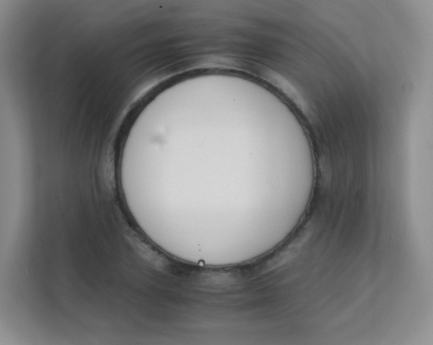 X0000111390931200907311111