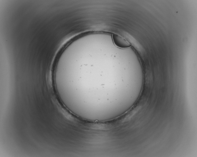 X0000111390932200907311111