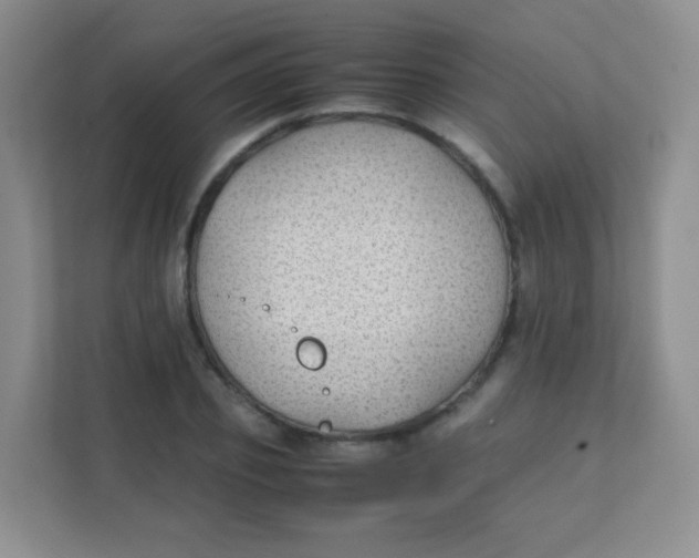 X0000111390933200907311111