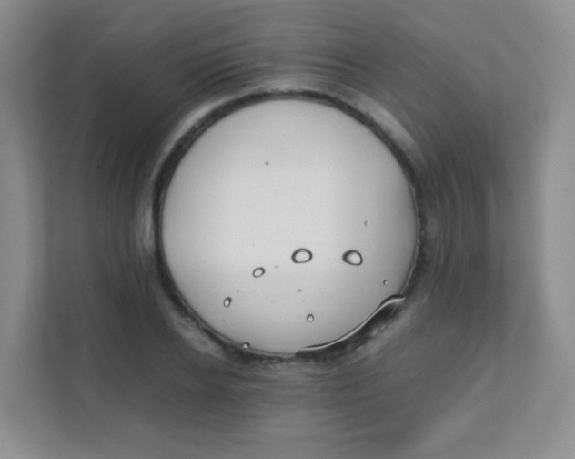 X0000111390934200907311111