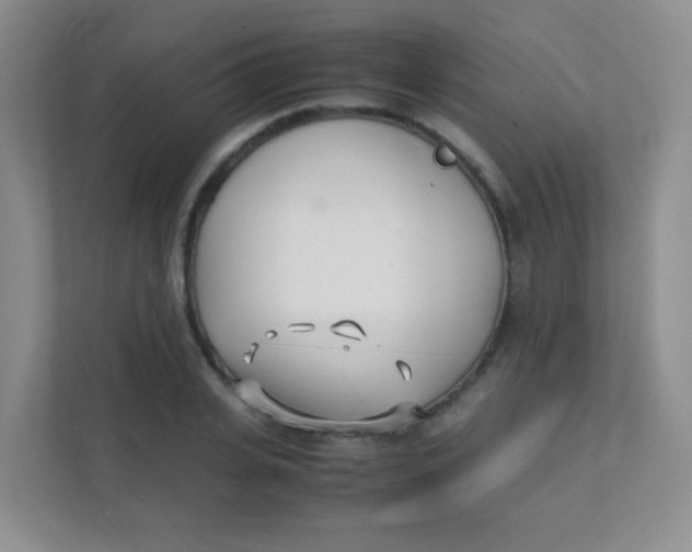 X0000111390935200907311111