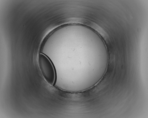 X0000111390936200907311111